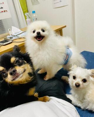 株式会社浜松マネジメントコンサルティングの求人・転職情報