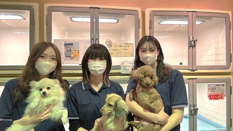 ペットショップボビー旭川店のアルバイト・バイト求人情報-03