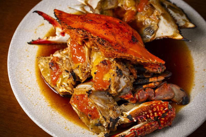 株式会社HTMCの求人・転職情報