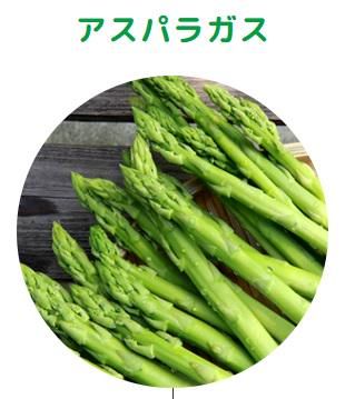 JA筑前あさくら　中央選果場(園芸管理課)のアルバイト・バイト求人情報-03