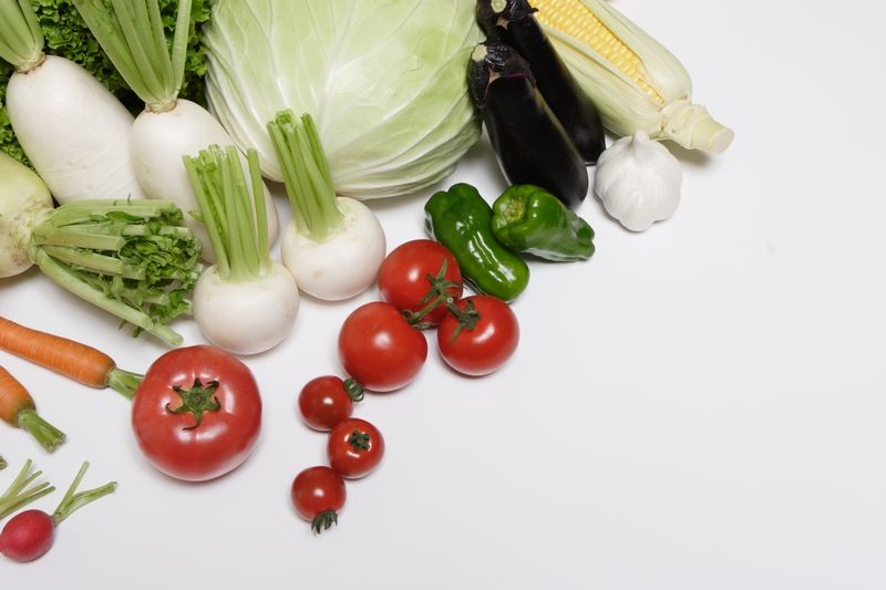 株式会社ルフト・メディカルケアの派遣求人情報