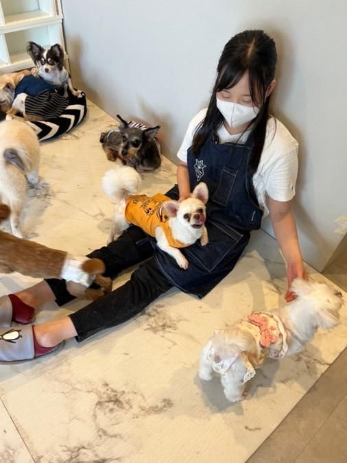 保護犬猫カフェ-anella cafe 函館店-のアルバイト・バイト求人情報-04