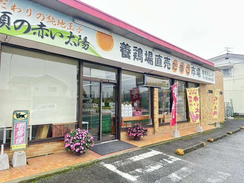 新那須玉子販売株式会社の求人・転職情報