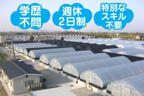 株式会社くまもと新星(ja_jp)-0002の求人・転職情報
