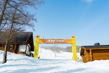 加森観光株式会社の求人・転職情報