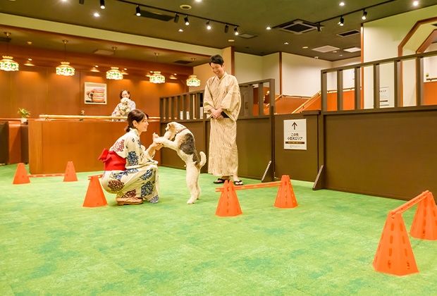 大江戸温泉物語わんわんリゾート 矢田屋松濤園/GENSEN HOLDINGS株式会社のアルバイト・バイト求人情報-02
