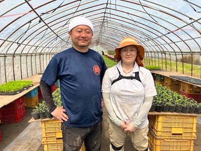 手元作業員 現場作業 農業手伝い 農作業手伝いのアルバイト・バイト求人情報｜【タウンワーク】でバイト