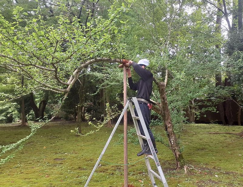一般財団法人　国民公園協会　京都御苑のアルバイト・バイト求人情報-04