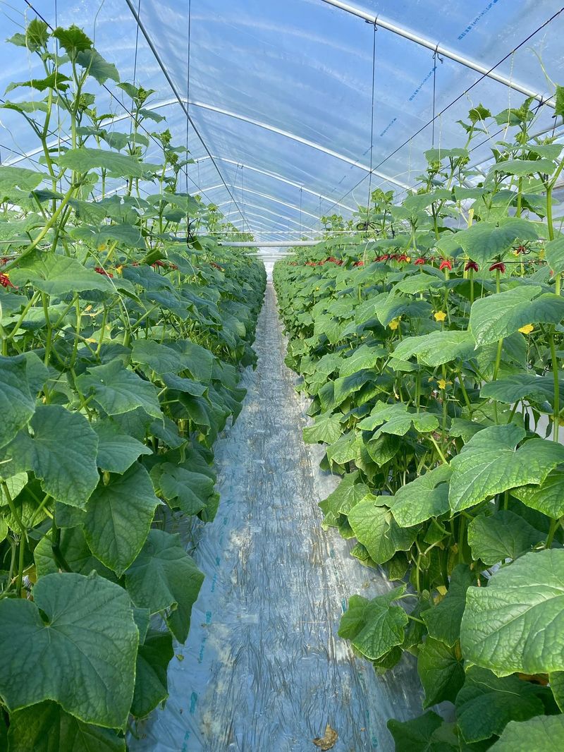 株式会社ＤＨＡＲＭＡの求人・転職情報