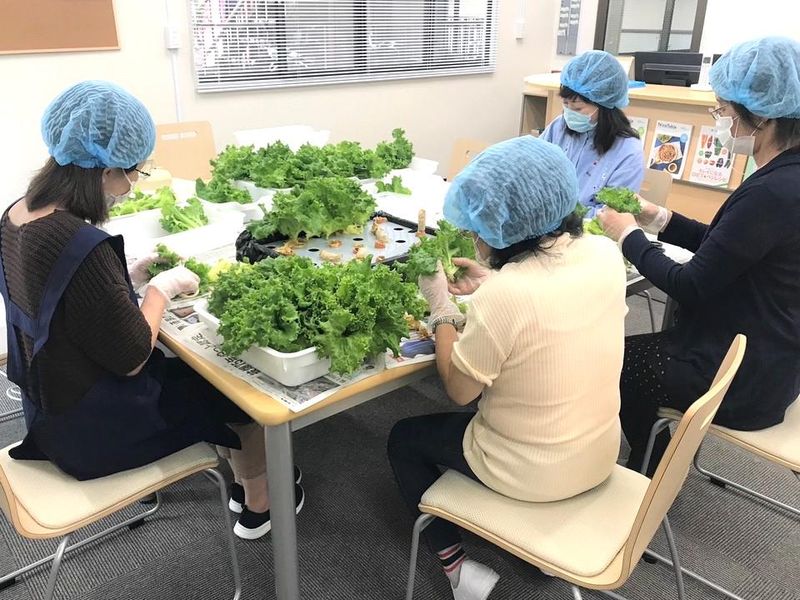 一般社団法人つくしの郷の求人・転職情報