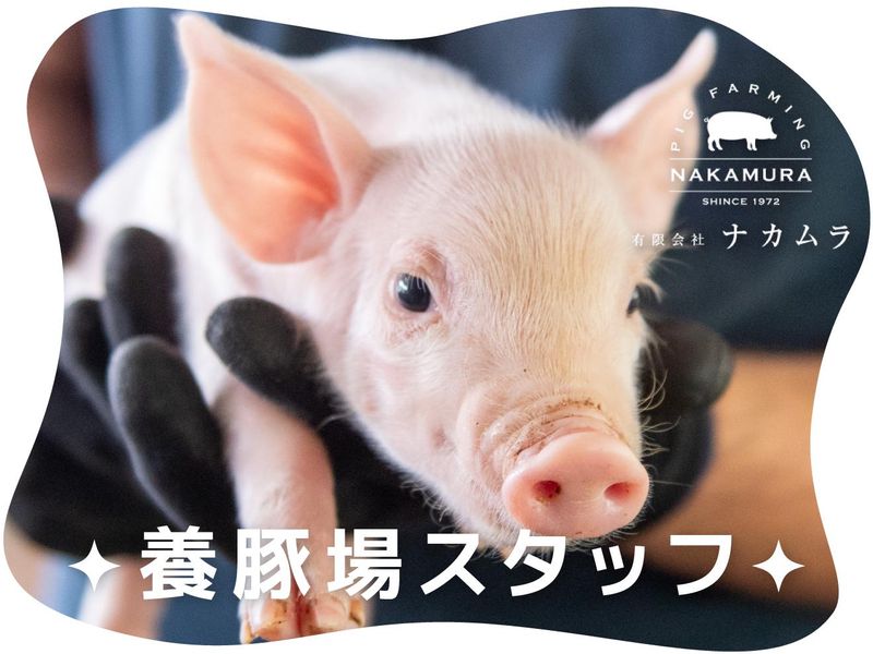有限会社ナカムラの求人・転職情報