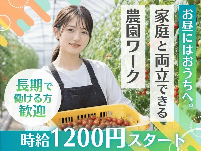 サトウファームの派遣求人情報