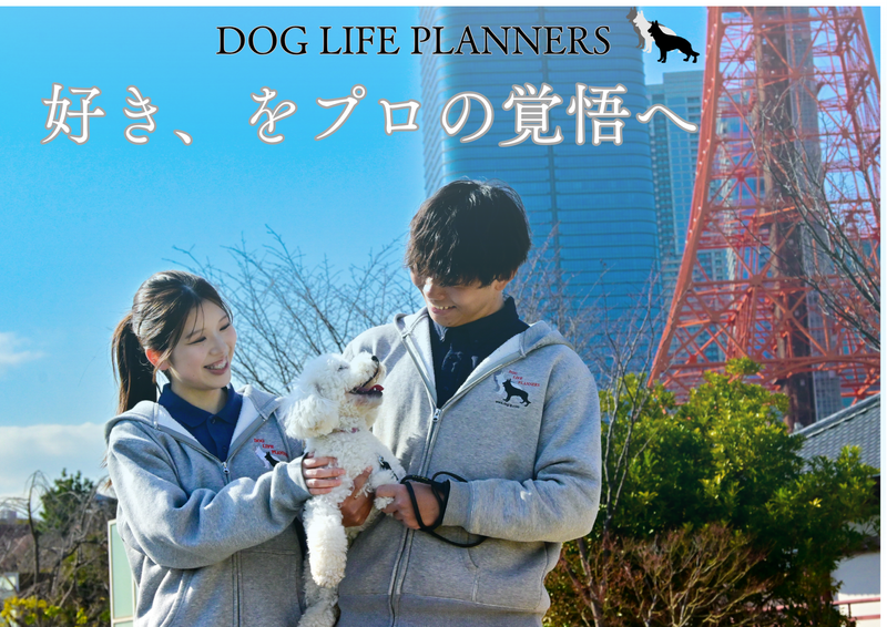 有限会社ディーエルピー
