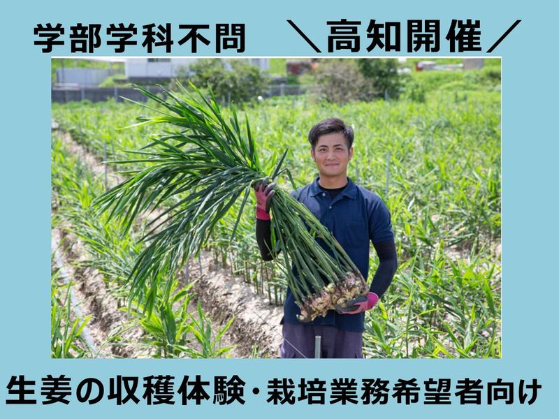 【栽培職志望者必見】食品メーカーの『農業』を体験する1日