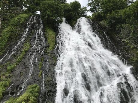 株式会社ヒューマニックのアルバイト・バイト求人情報-02