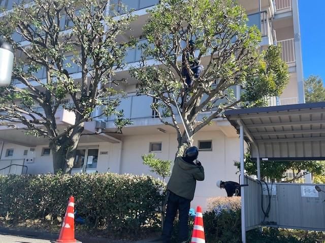 有限会社トキオグリーンサービスの求人・転職情報