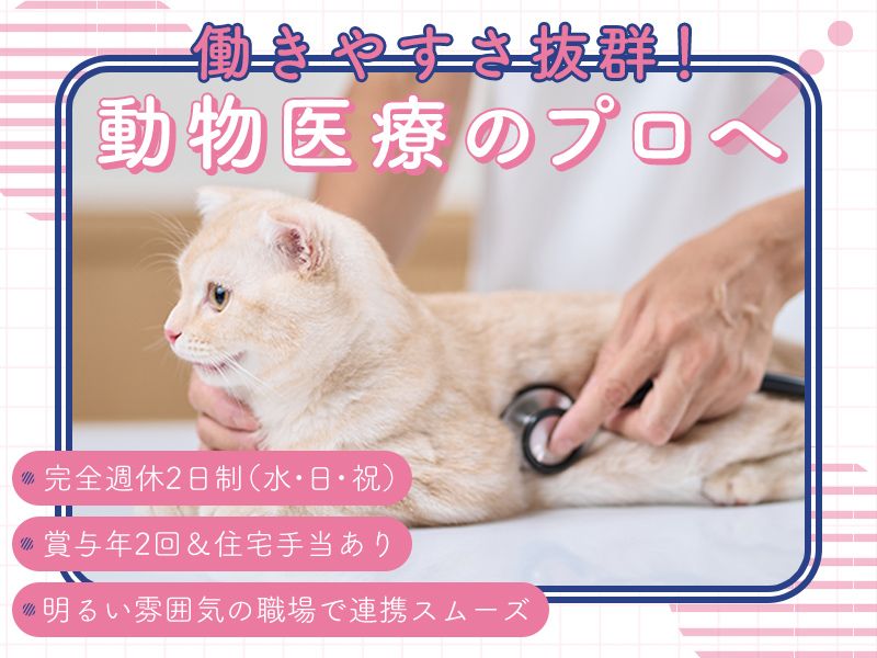 株式会社ほほえみの求人・転職情報
