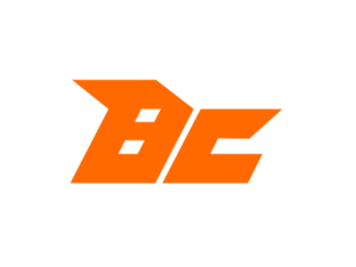 株式会社BUDDICA(バディカ) 倉敷支社のアルバイト・バイト求人情報-04