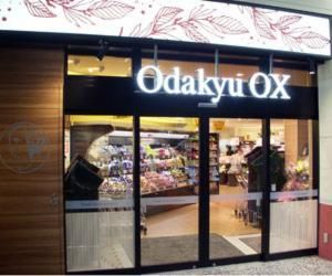 Odakyu OX `X