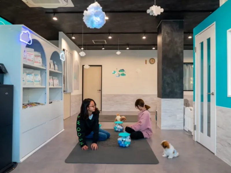 保護犬猫カフェ-anella cafe 函館店-のアルバイト・バイト求人情報-05