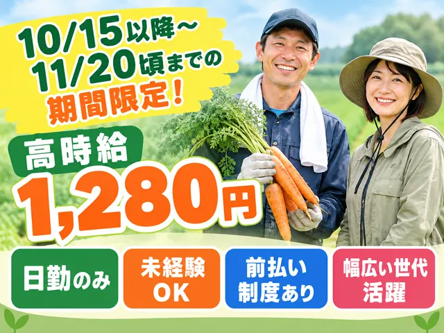 株式会社ピース　ピーススタッフのアルバイト・バイト求人情報