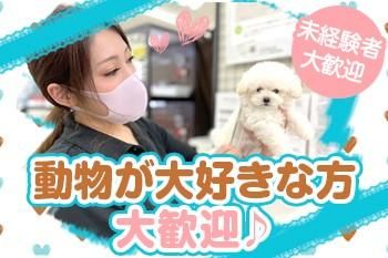 株式会社セシルの求人・転職情報