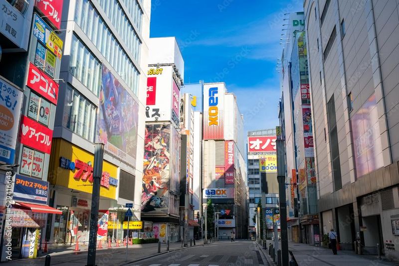 有限会社ワイケーオリジンの求人・転職情報
