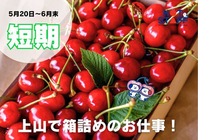 株式会社ホットスタッフ山形