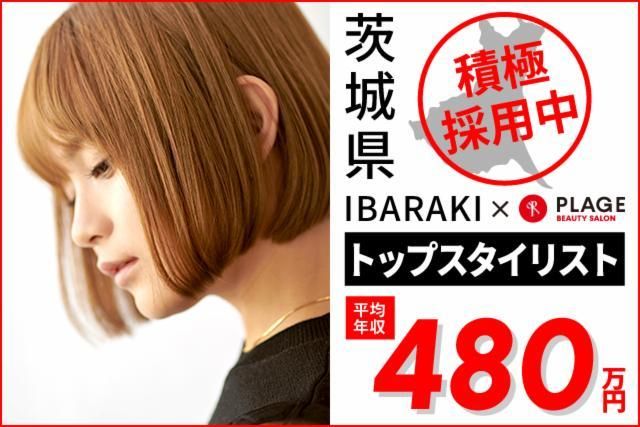 阪南理美容株式会社の求人・転職情報