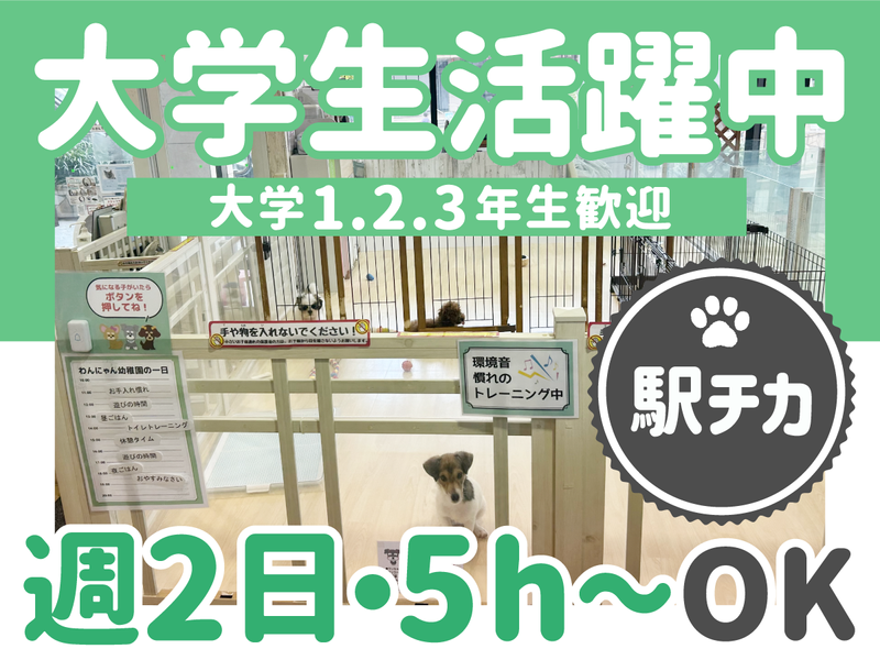 DOG&CAT JOKER ららぽーと横浜店のアルバイト・バイト求人情報-02