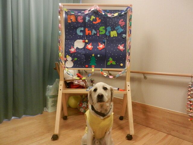 株式会社アクセス　羽田事業所の求人・転職情報