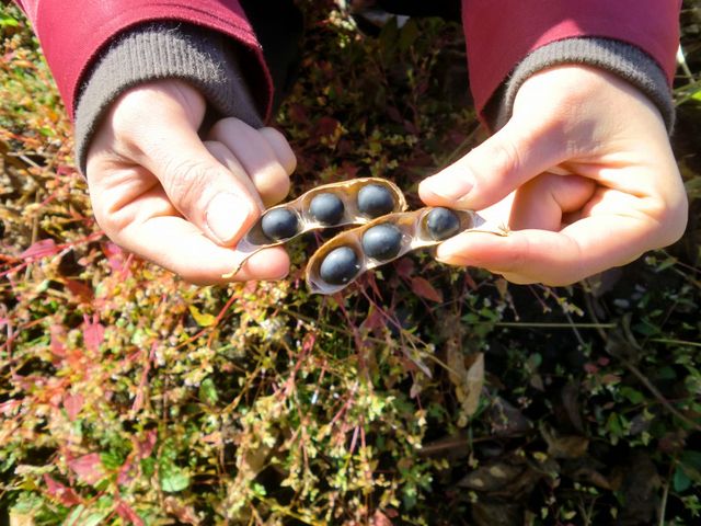 株式会社カネマルの求人・転職情報