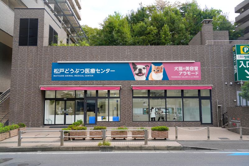 株式会社ファニメディック-0003の求人・転職情報