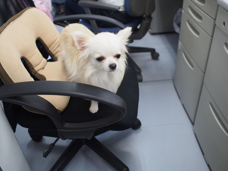 株式会社AFBの求人・転職情報