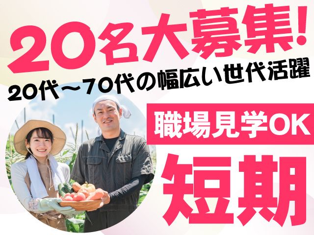 株式会社ピース　ピーススタッフ