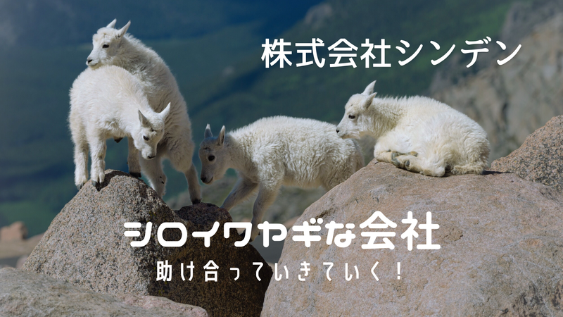 株式会社シンデン