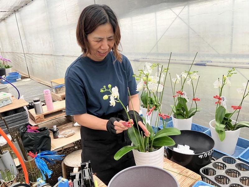 サカモト農園の求人情報