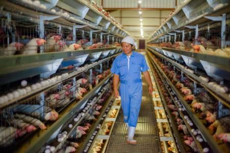 株式会社ホウトク農場の求人・転職情報