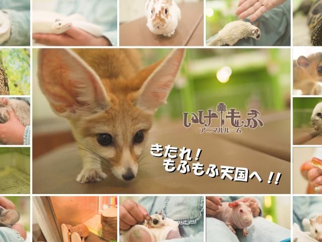 株式会社ケイ・ブックスの求人・転職情報