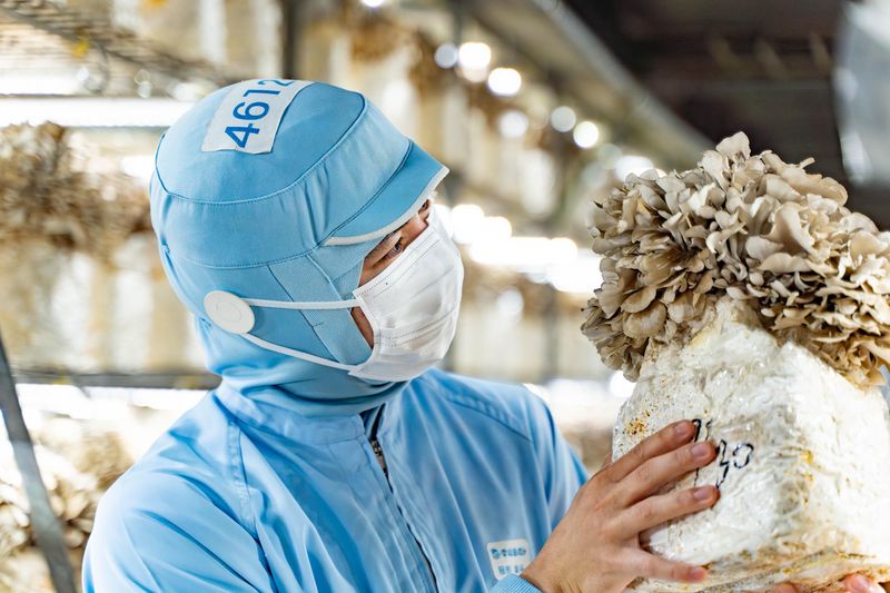 ユキグニファクトリー株式会社