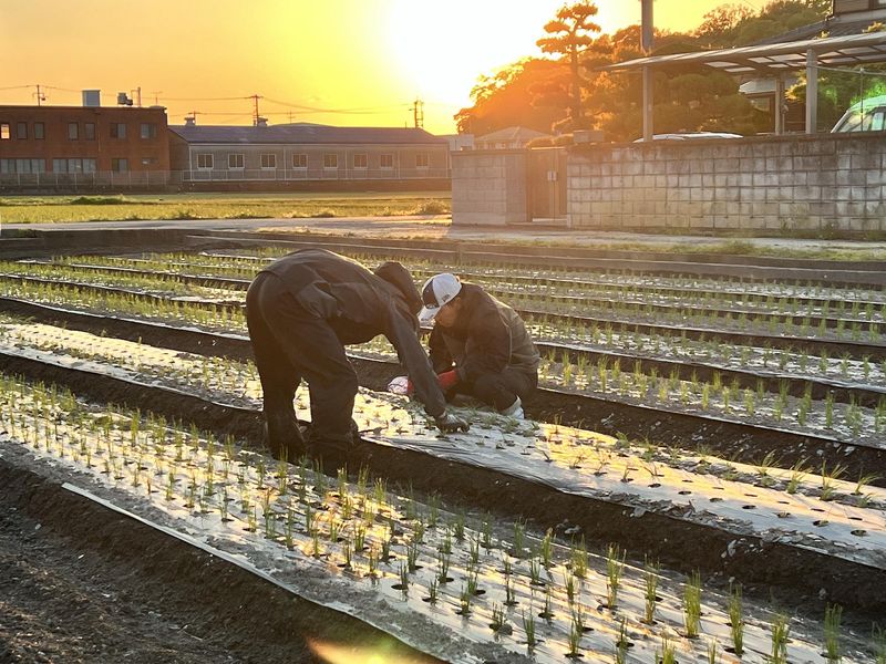 CLAN株式会社の派遣求人情報