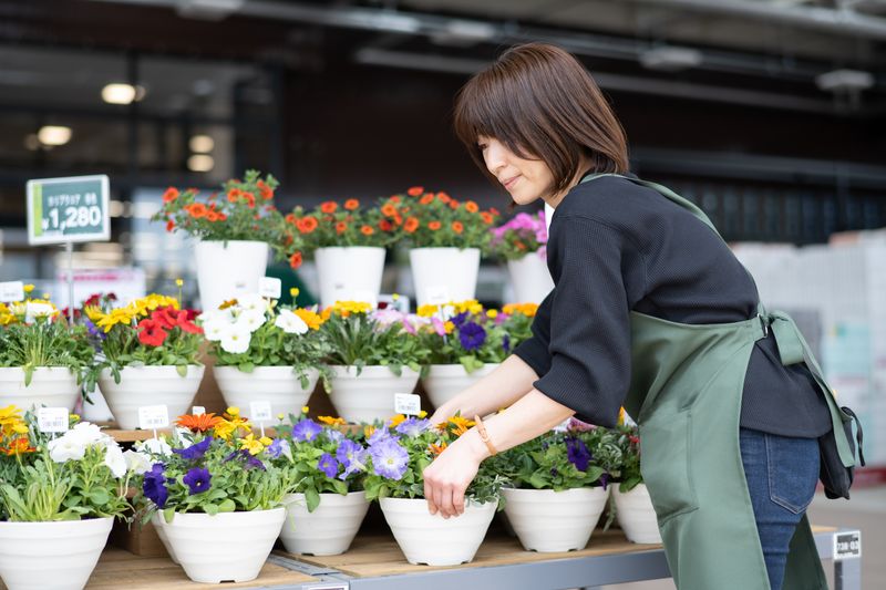 株式会社カインズ-0034の求人・転職情報
