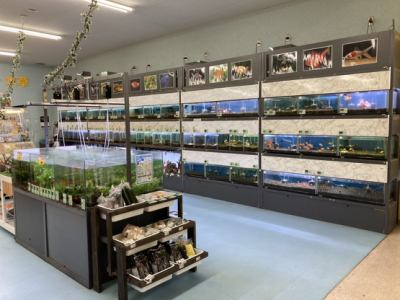 DCM南アルプス店 ペットコーナーのアルバイト・バイト求人情報-05