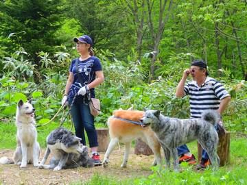 有限会社北照建材工業の求人・転職情報