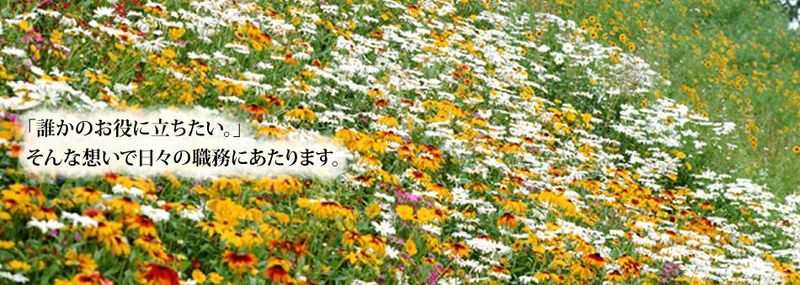 株式会社メディカルプラントのアルバイト・バイト求人情報-04
