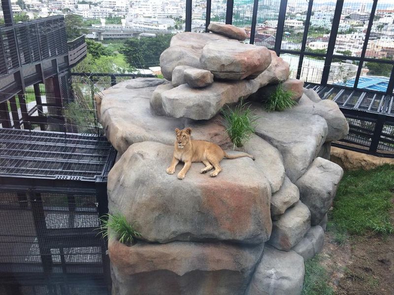 株式会社鬼工房のアルバイト・バイト求人情報-02