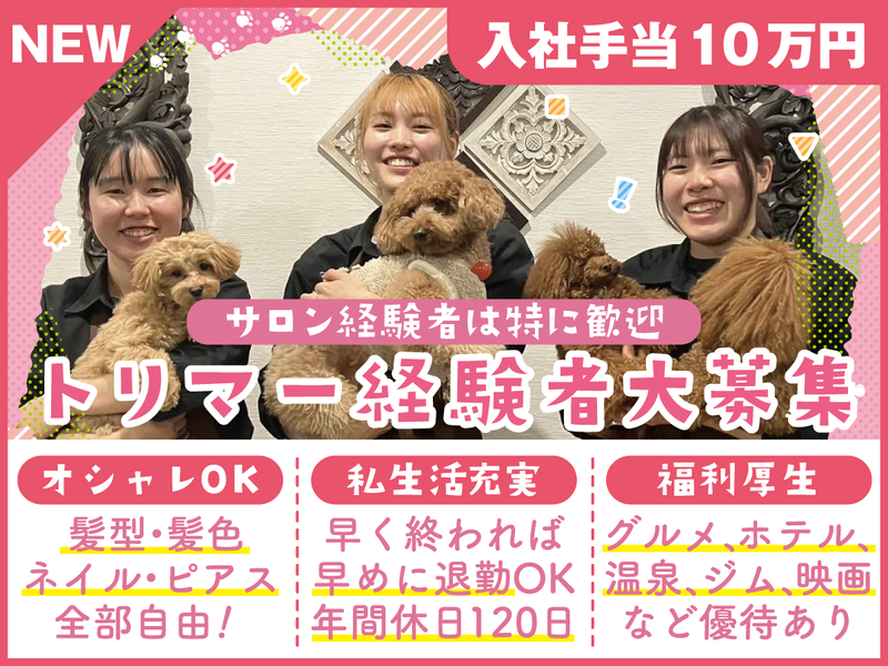 株式会社Ｌｕｃｕの求人・転職情報