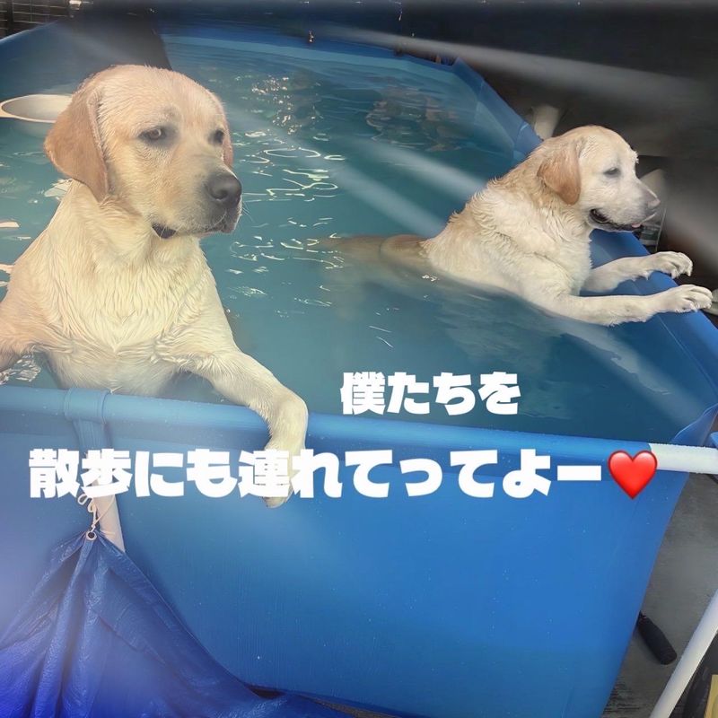 有限会社三輝電気のアルバイト・バイト求人情報-03