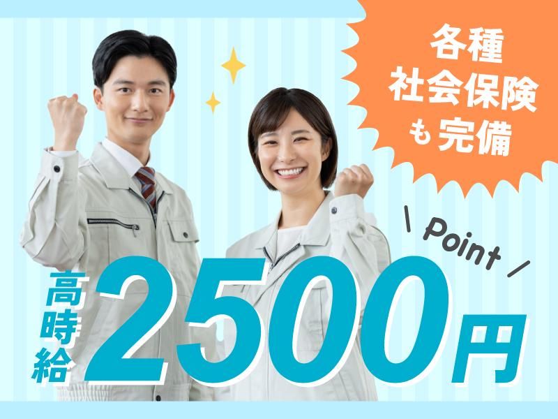株式会社シスムエンジニアリングの求人・転職情報