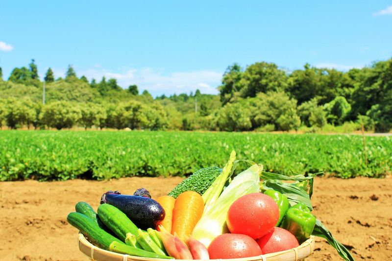 双日農業株式会社の求人・転職情報
